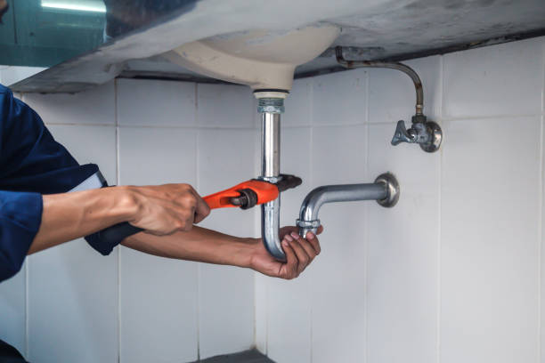 Best Plumbing Inspection Services  in Story City, IA